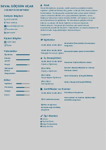 Coğrafya Öğretmeni CV Örnekleri cv indir